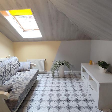 Apartmán Сонячна Мансарда Kamenec Podolský Exteriér fotografie